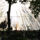 Illustration for article titled 75 Explosive Photos of Fireworks